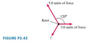 Chapter 3, Problem 43EAP, FIGURE P3.43 shows three ropes tied together in a knot. One of your friends pulls on a rope with 3.0 