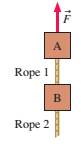Chapter 7, Problem 16EAP, FIGURE EX7.16 shows two 1.0 kg blocks connected by a rope. A second rope hangs beneath the lower 
