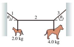 Chapter 7, Problem 23EAP, A mobile at the art museum has a 2.0 kg steel cat and a 4.0 kg steel dog suspended from a 