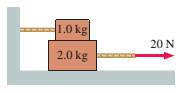 Chapter 7, Problem 24EAP, The 1.0 kg block in FIGURE EX7.24 is tied to the wall with a rope. It sits on top of the 2.0 kg 