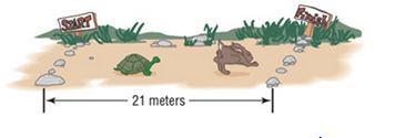 Chapter 11.6, Problem 83AYU, The Tortoise and the Hare In a 21-meter race between a tortoise and a hare, the tortoise leaves 9 