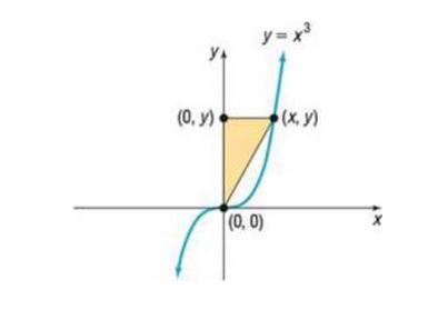 Chapter 2.6, Problem 5AE, 5. A right triangle has one vertex on the graph of y= x 3 , x0 , at ( x,y ) , another at the origin, 