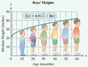 Chapter 10.1, Problem 101ES, The function f(x)=2.9x+20.1 models the median height, f(x) , inches, of boys who are x months of 