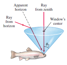 Chapter 2.3, Problem 84E, 

Modeling) Fish's View of the World The figure shows a fish’s view of the world above the surface 