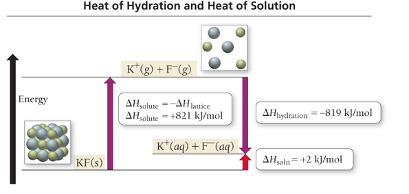 Chapter 14, Problem 31E, When ammonium chloride (NH4Cl) is dissolved in water, the solution becomes colder. a. Is the 
