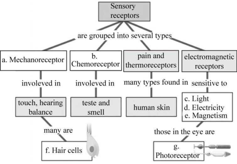 EBK CAMPBELL BIOLOGY:CONCEPTS+CONNECT., Chapter 29, Problem 1CC 