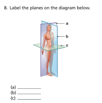 Chapter 1, Problem 9RFT, Label the planes on the diagram below. (a) ________ (b) ________ (c) ________ Match each numbered 