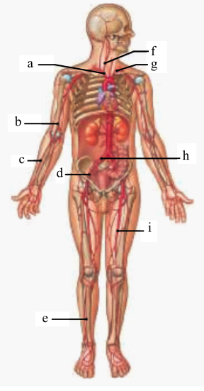 Human Anatomy, Books a la Carte Plus MasteringA&P with eText -- Access Card Package (8th Edition), Chapter 22, Problem 11RFT 