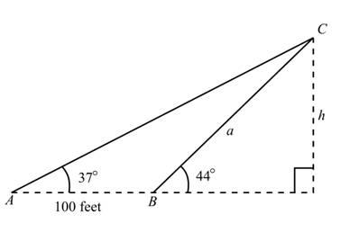 Algebra and Trigonometry - With MyMathLab, Chapter 7.1, Problem 57E , additional homework tip  1