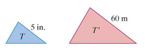 Chapter 13, Problem 43E, Triangles T and T shown in Fig. 13-23 are similar triangles Note that the triangles are not drawn to 