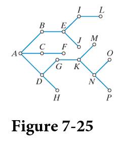 Chapter 7, Problem 10E, Consider the tree shown in. Fig725. a. How many degrees of separation are there between A and P? b. 