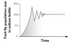 Chapter 14, Problem 5LTB, According to the graph shown here, the carrying capacity for fruit flies in the environment of the 