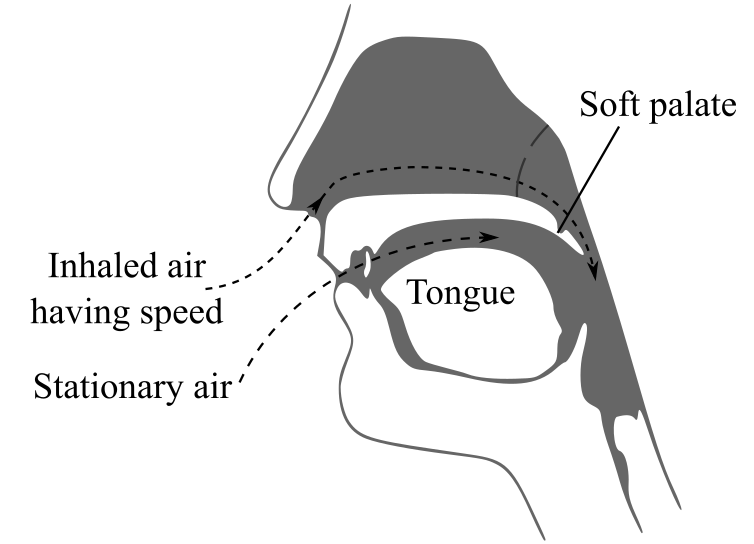 College Physics: Explore And Apply, Volume 2 (2nd Edition), Chapter 14, Problem 1RQ 