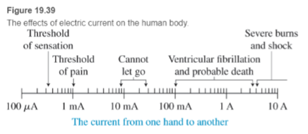 Chapter 19, Problem 92RPP, BIO Effect of electric current on human body Nerve impulses are initiated at the input end of a 