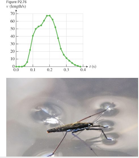 Chapter 2, Problem 76P, 76. * BIO EST Water striders Water striders are insects that propel themselves on the surface of 
