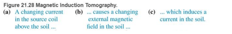 Chapter 21, Problem 68RPP, BIO Magnetic induction tomography (MIT) Magnetic induction tomography is an imaging method used in , example  1
