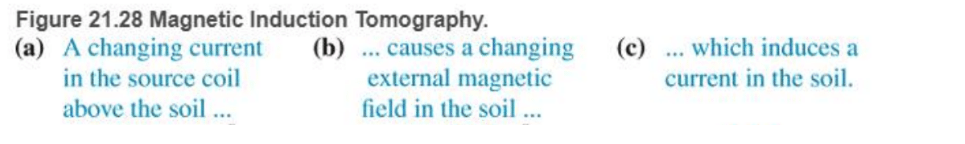 Chapter 21, Problem 70RPP, BIO Magnetic induction tomography (MIT) Magnetic induction tomography is an imaging method used in , example  1