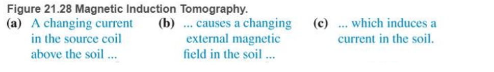 Chapter 21, Problem 72RPP, BIO Magnetic induction tomography (MIT) Magnetic induction tomography is an imaging method used in , example  1