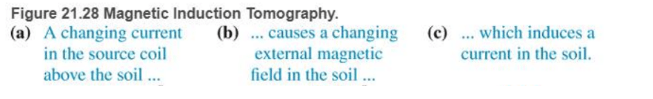 Chapter 21, Problem 73RPP, BIO Magnetic induction tomography (MIT) Magnetic induction tomography is an imaging method used in , example  1