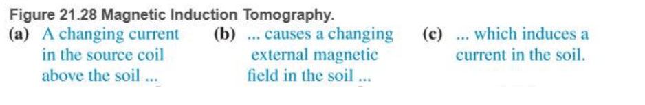 Chapter 21, Problem 74RPP, BIO Magnetic induction tomography (MIT) Magnetic induction tomography is an imaging method used in , example  1
