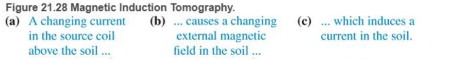 Chapter 21, Problem 75RPP, BIO Magnetic induction tomography (MIT) Magnetic induction tomography is an imaging method used in , example  1