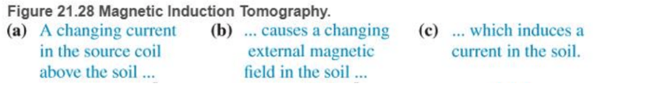 Chapter 21, Problem 76RPP, BIO Magnetic induction tomography (MIT) Magnetic induction tomography is an imaging method used in , example  1