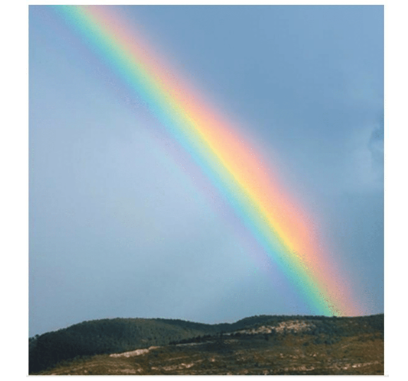 A perfectly timed photo of a raindrop refracting light from a