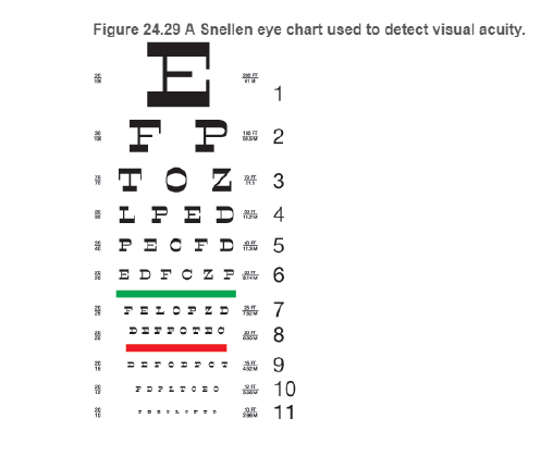 Chapter 24, Problem 76RPP, BIO What is 20/20 vision? Vision is often measured using the Snellen eye chart, devised by Dutch 