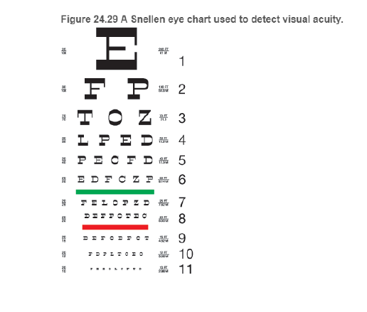 Chapter 24, Problem 77RPP, 
BIO What is 20/20 vision? Vision is often measured using the Snellen eye chart, devised by Dutch 