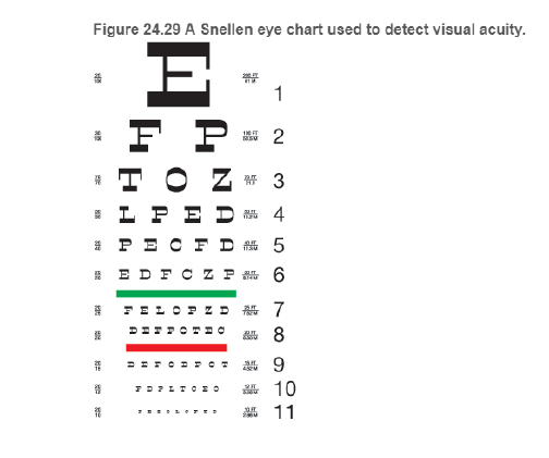 Chapter 24, Problem 79RPP, BIO What is 20/20 vision? Vision is often measured using the Snellen eye chart, devised by Dutch 