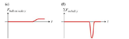 Chapter 6, Problem 12MCQ, You hold a clay ball above a scale and then drop it. After hitting the scale, the ball sticks to it. , example  2