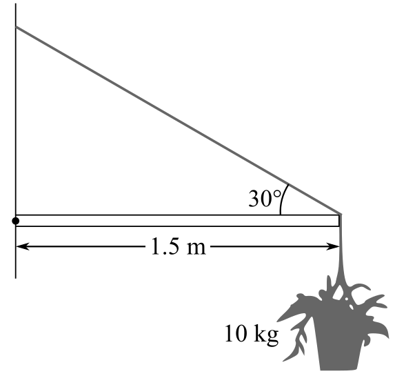 College Physics, Chapter 8, Problem 37P 