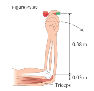 Chapter 9, Problem 65GP, * BIO Triceps and darts Your upper arm is horizontal and your forearm is vertical with a 0.010-kg 