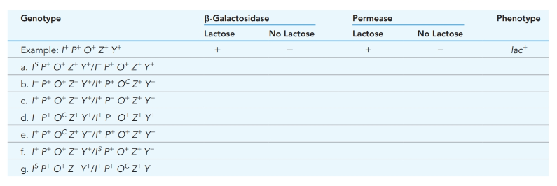 Pearson eText Genetic Analysis: An Integrated Approach -- Instant Access (Pearson+), Chapter 12, Problem 18P 