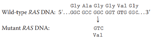 Chapter 15, Problem 30P, The RAS gene encodes a signaling protein that hydrolyzes GTP to GDP. When bound by GDP, the RAS 