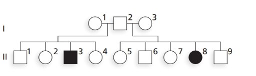 Chapter 2, Problem 15P, 
15. The accompanying pedigree shows the transmission of albinism (absence of skin pigment) in a 