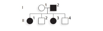 Chapter 2, Problem 21P, 
21. The accompanying pedigree shows the transmission of a phenotypic character. Using B to 