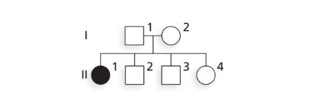 Chapter 2, Problem 47P, 47. The accompanying pedigree shows a family in which one child (II-1) has an autosomal recessive 