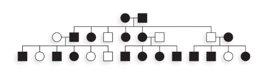Chapter 2, Problem 4P, In mice, black coat color is dominant to white coat color. In the pedigree shown here, mice with a 