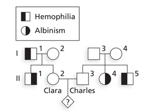 Chapter 3, Problem 13P, In humans, hemophilia A (OMIM 306700) is an X-linked recessive disorder that affects the gene for 