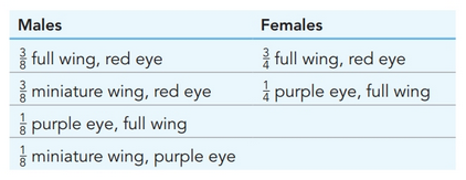 Chapter 3, Problem 14P, 
14. A wild-type male and a wild-type female Drosophila with red eyes and full wings are crossed. 