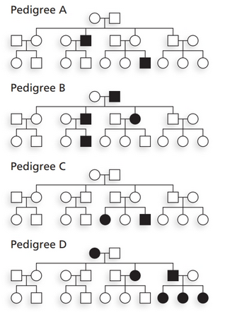Chapter 3, Problem 20P, 20. For each pedigree shown, 
a. Identify which simple pattern of hereditary trans-mission 