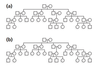Chapter 3, Problem 21P, 21. Use the blank pedigrees provided to depict transmission of (a) an X-linked recessive trait and 
