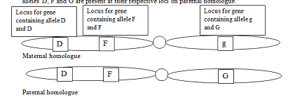 Genetic Analysis Format: Kit/package/shrinkwrap, Chapter 5, Problem 1P , additional homework tip  3