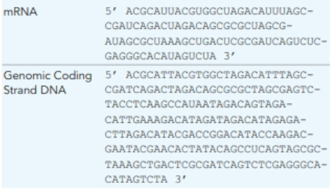 Chapter 8, Problem 31P, 8.31 A portion of a human gene is isolated from the genome and sequenced. The corresponding segment 