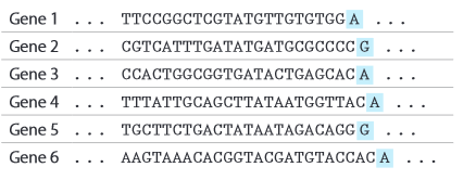 Chapter 8, Problem 7P, The DNA sequences shown below are from the promoter regions of six bacterial genes. In each case, 