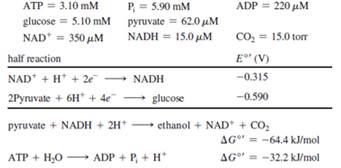 Chapter 3, Problem 18P, Consider the degradation of glucose to pyruvate by the glycolytic pathway: Glucose + 2ADP + 2Pi + 