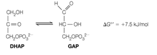 Chapter 3, Problem 6P, In another key reaction in glycolysis, dihydroxyacetone phosphate (DHAP) is isomerized into 