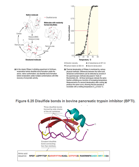 Chapter 6, Problem 2P, Bovine pancreatic trypsin inhibitor (BPTI; Figure 6.25) contains six cysteine residues that form 