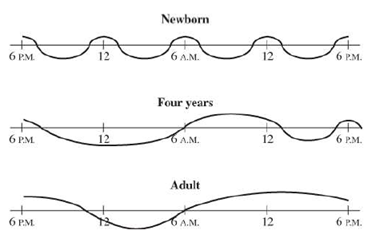 PRECALCULUS:GRAPHICAL,...-NASTA ED., Chapter 4.8, Problem 44E , additional homework tip  1